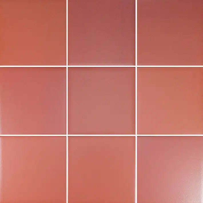 Six — Coral