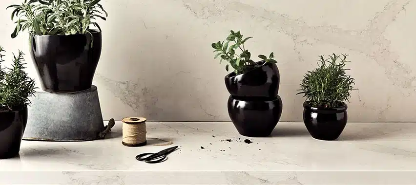 Calacatta Nuvo in situ