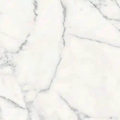 Origines de Rex — BLANC