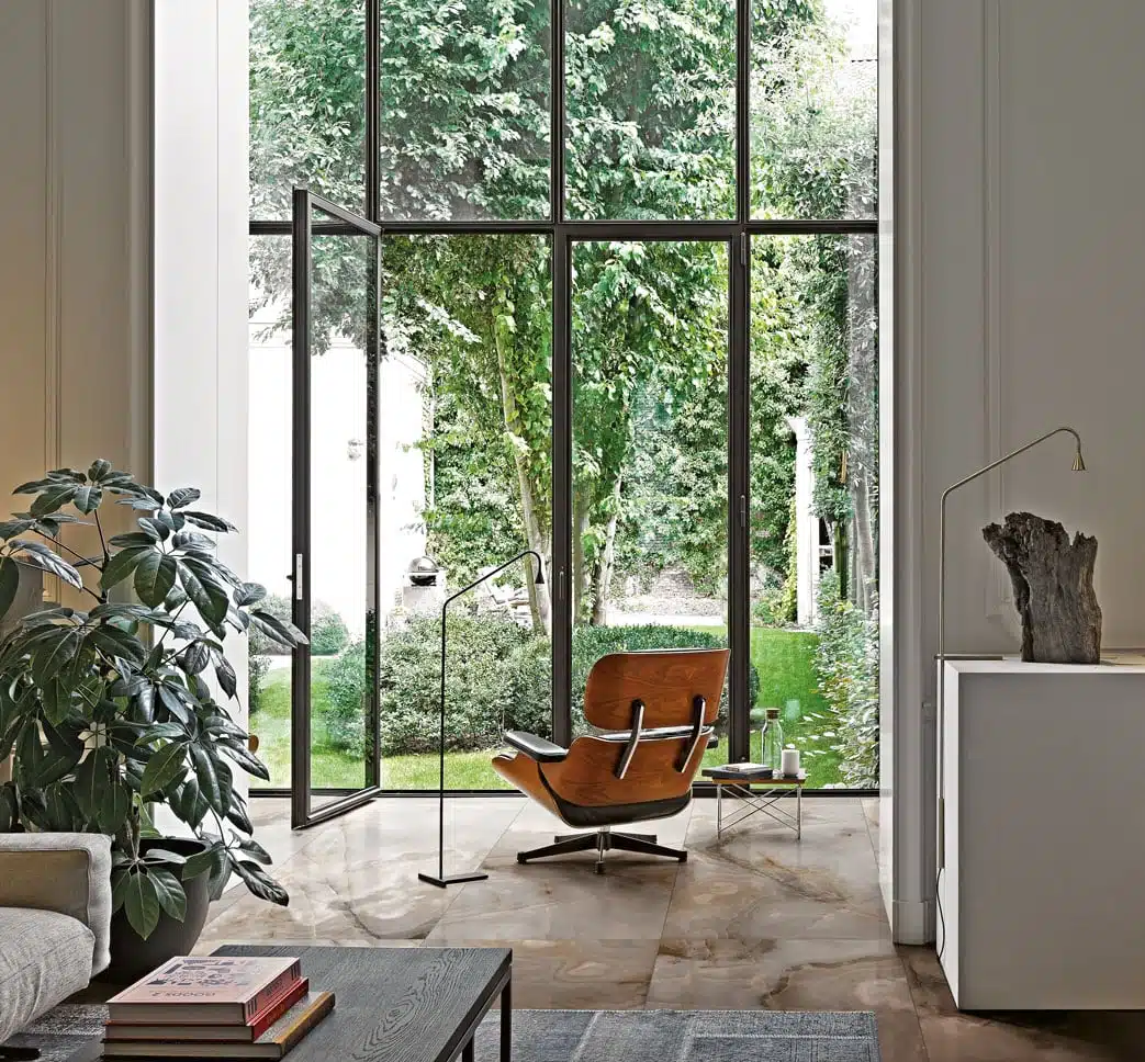Reve de Rex in situ