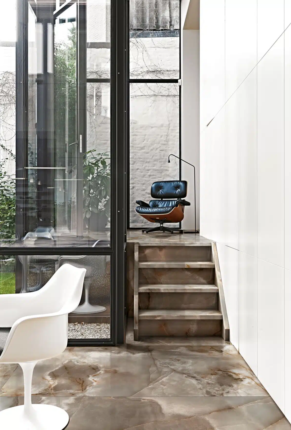 Reve de Rex in situ