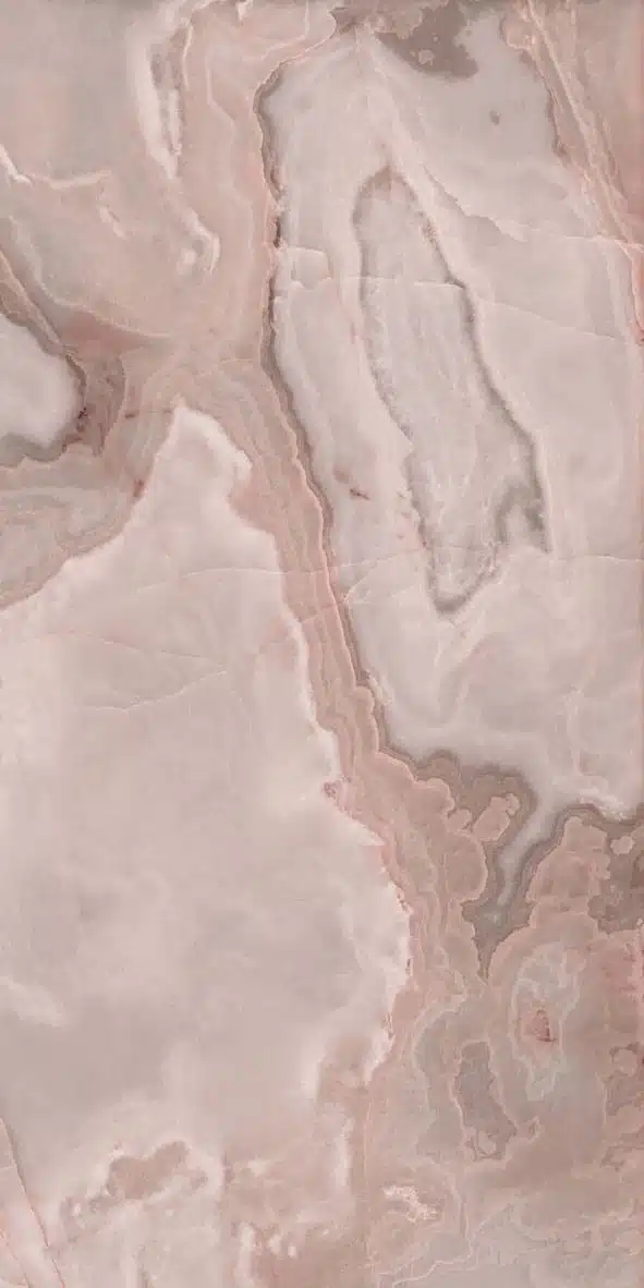 Reve de Rex — Rose