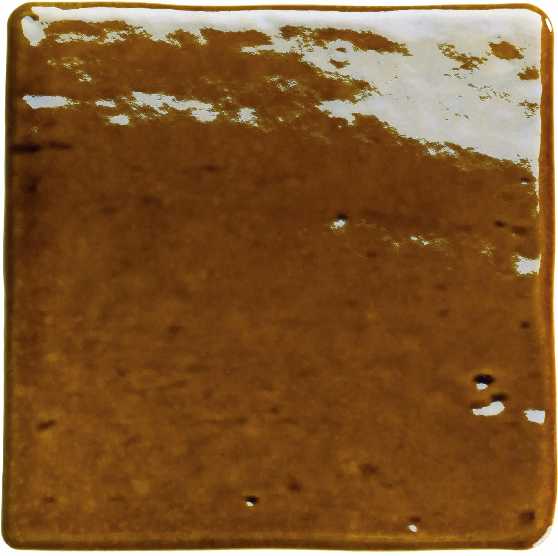 Roots in situ