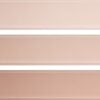 Rosa Gloss
