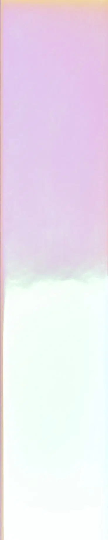 Spectre — Rosa Hologram