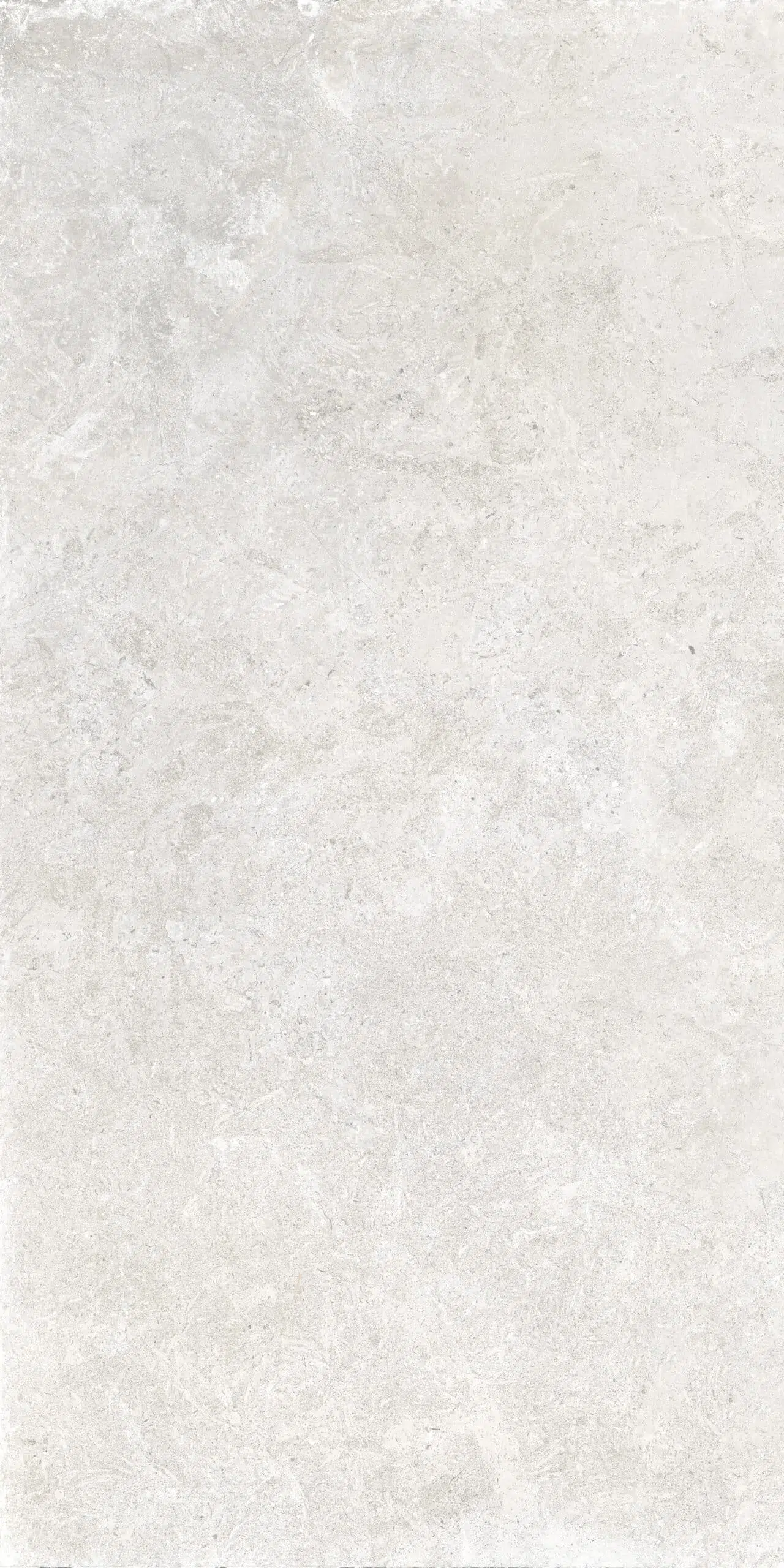 Saint Rémy — Avorio