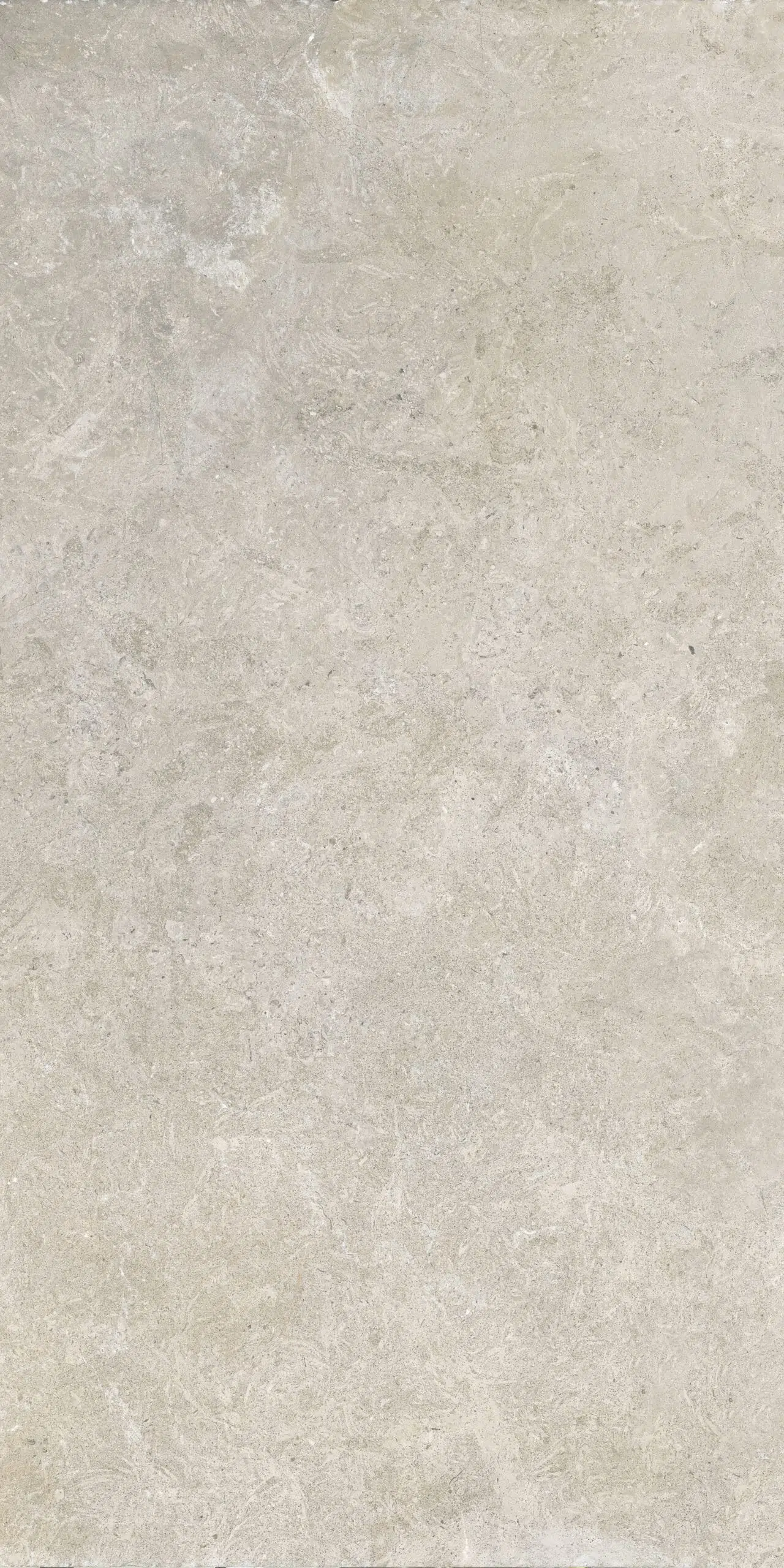 Saint Rémy — Beige