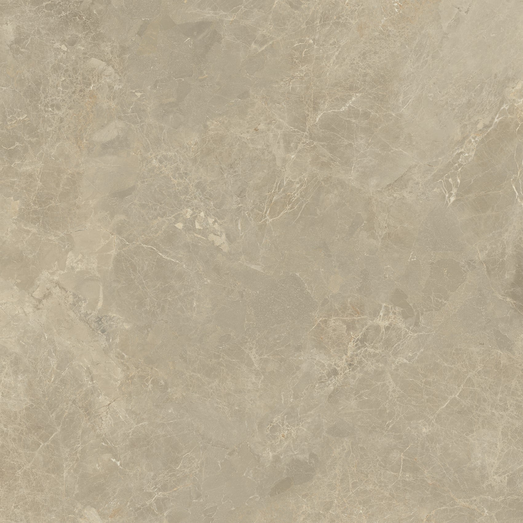 Taupe 120x120