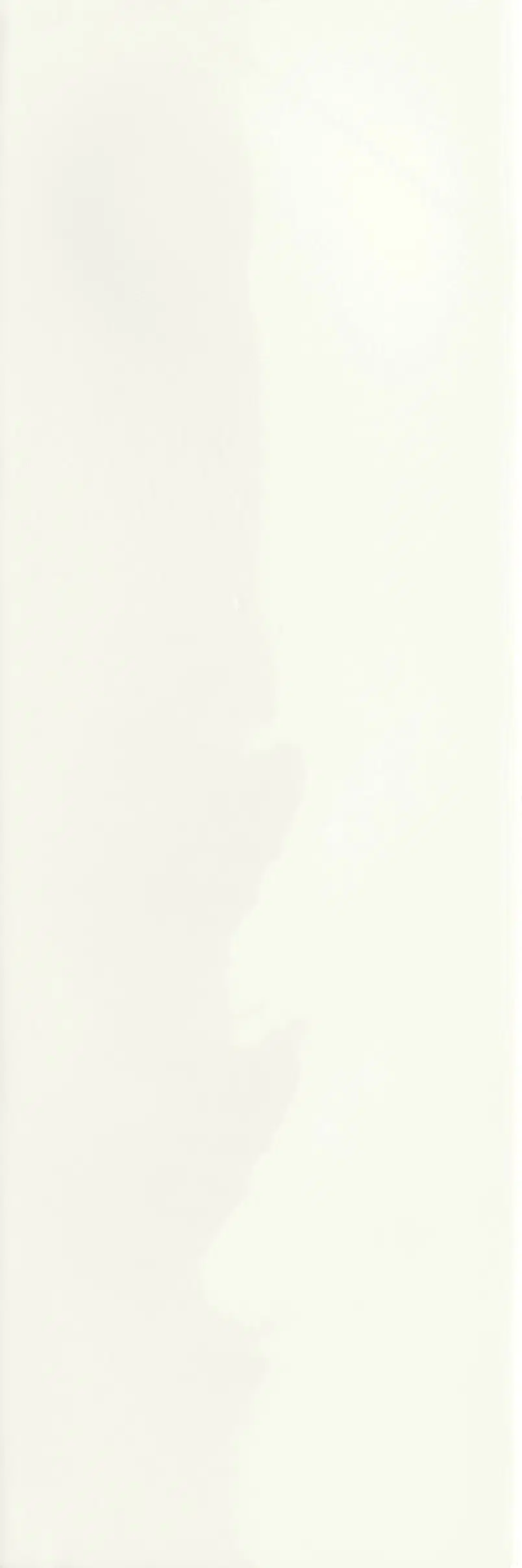 Riviera — White Riviera