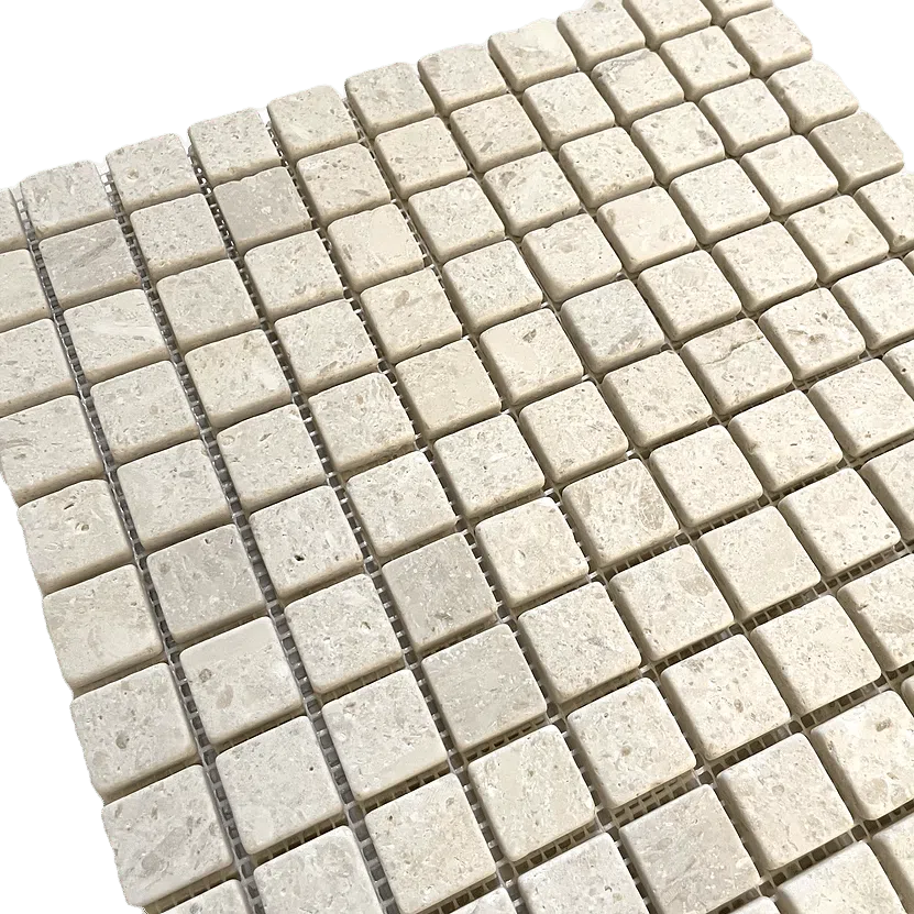 White Limestone Tumbled 1x1 in situ
