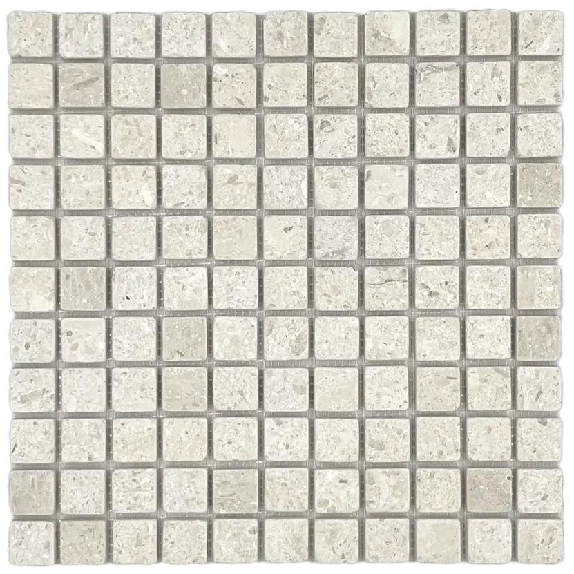 White Limestone Tumbled 1x1 in situ