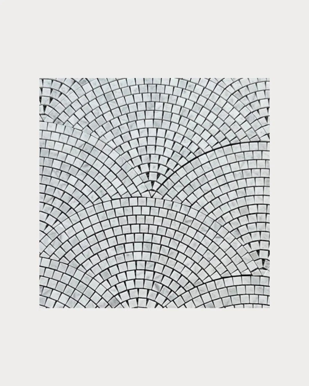 Fan Carrara Honed — Product