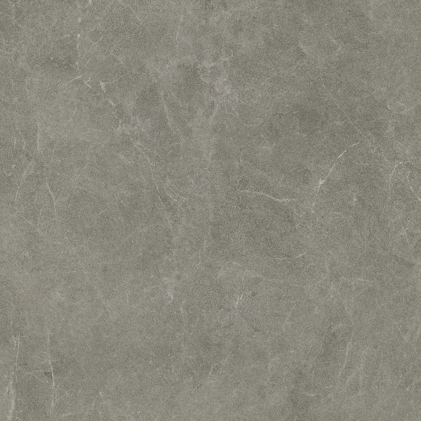 Limestone Atlas 4x4 — Greige