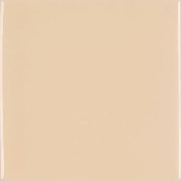 Laccati Glazed Terracotta Tile — Cocco Medio